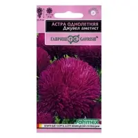 Набор семян Астра игольчато-коготковая "Джувел Аметист", однолетняя, 5 шт. Набор семян Астра игольчато-коготковая "Джувел Аметист", однолетняя, 5 шт.