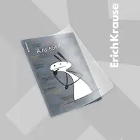 Набор предметных тетрадей ErichKrause &laquo;Чубрик&raquo;, 12 предметов, 48 листов, со справочным материалом, пластиковая обложка