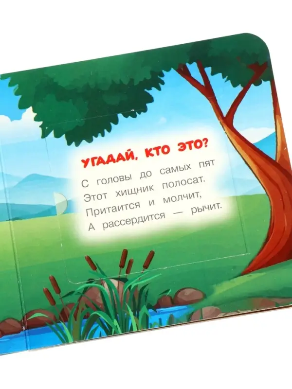 Книга с окошками &laquo;В. Степанов. Капибара в зоопарке&raquo;, 10 стр.