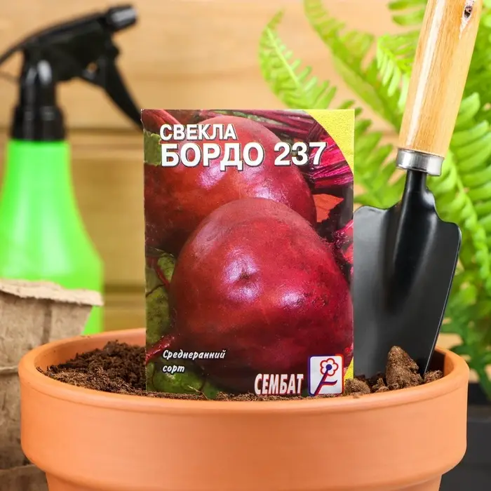 Семена Свекла &laquo;Бордо 237&raquo;, 1 г