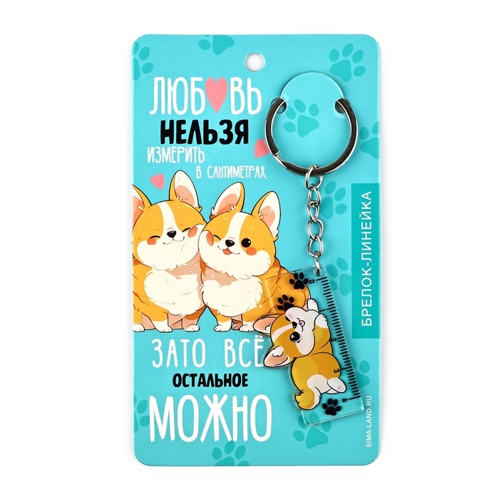 Брелок линейка для ключей «Любовь нельзя измерить», 2.4 х 10 см Брелок линейка для ключей «Любовь нельзя измерить», 2.4 х 10 см