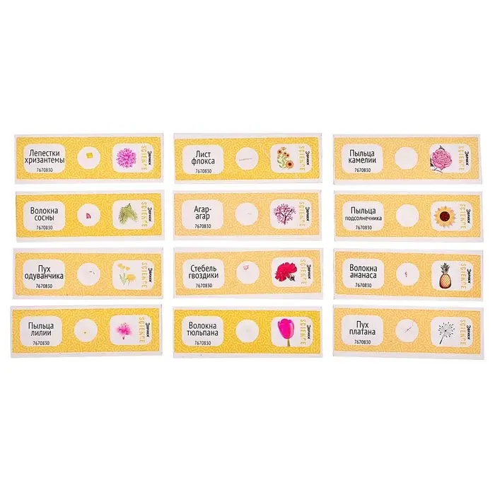 Набор для опытов &laquo;Набор микропрепаратов&raquo;, цветы