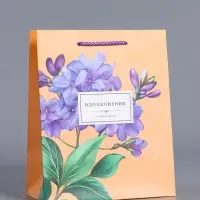 Пакет подарочный ламинированный &laquo;Тонкая эстетика&raquo;, персиковый, 18&times;22.3&times;10 см
