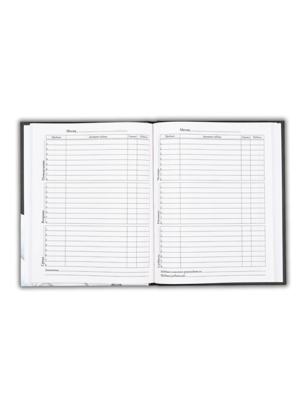 Дневник школьный для 5-11 класса, в твердой обложке, 48 л. "Black"