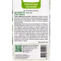 Семена цветов Аспарагус перистый &laquo;Паутинка&raquo;, 5 шт., &laquo;ПОИСК&raquo;