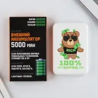 Зарядное устройство &laquo;100% заряд&raquo;, 5000мА