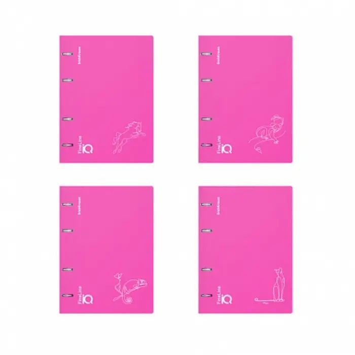 Тетрадь на кольцах, 100 листов в клетку, ErichKrause IQ FineLine Silhouette, пластиковая обложка, блок офсет 100% белизна, МИКС Тетрадь на кольцах, 100 листов в клетку, ErichKrause IQ FineLine Silhouette, пластиковая обложка, блок офсет 100% белизна, МИКС