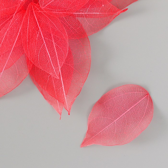Листья скелетированные для творчества "Красные" набор 20 шт h=6-6,5 см
