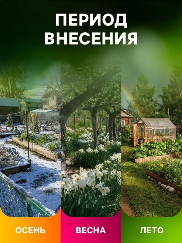 Удобрение органоминеральное &laquo;Буйские удобрения&raquo;, для клубники, земляники, 1 кг