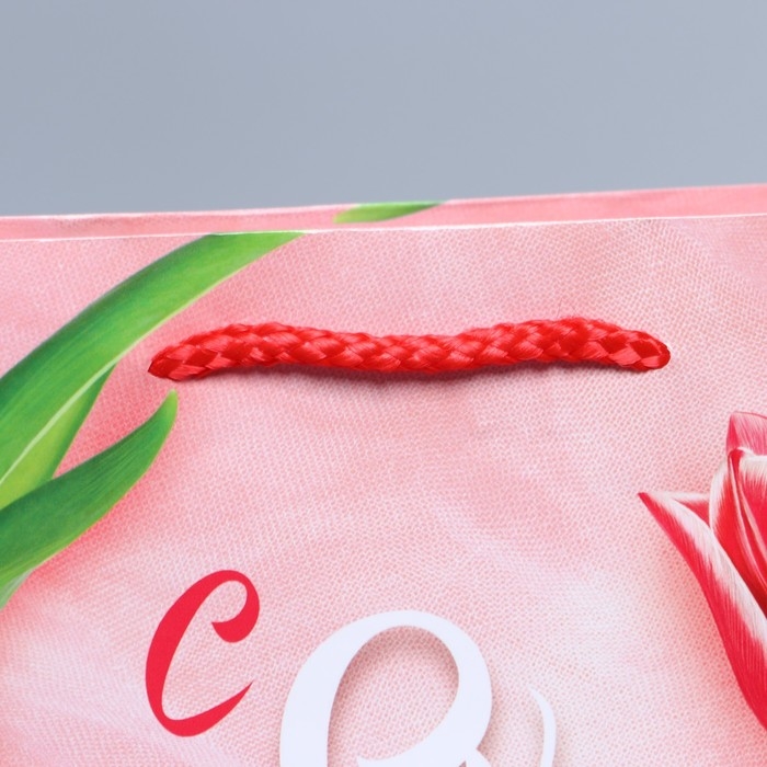 Пакет подарочный ламинированный горизонтальный, упаковка, «Краски весны», MS 18 х 23 х 8 см Пакет подарочный ламинированный горизонтальный, упаковка, «Краски весны», MS 18 х 23 х 8 см