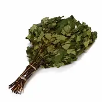 Веник для бани берёзовый, &laquo;Добропаровъ&raquo;