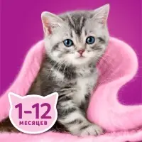 Влажный корм Whiskas для котят, рагу курица, 75 г