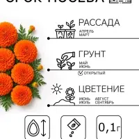 Семена цветов Бархатцы прямостоячие &laquo;Оранжевый принц&raquo;, О, 0.1 г