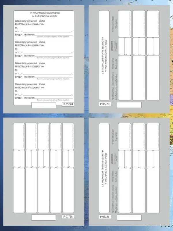 Ветеринарный паспорт &laquo;Для собаки&raquo;, 10.3&times;15.1 см, 28 страниц