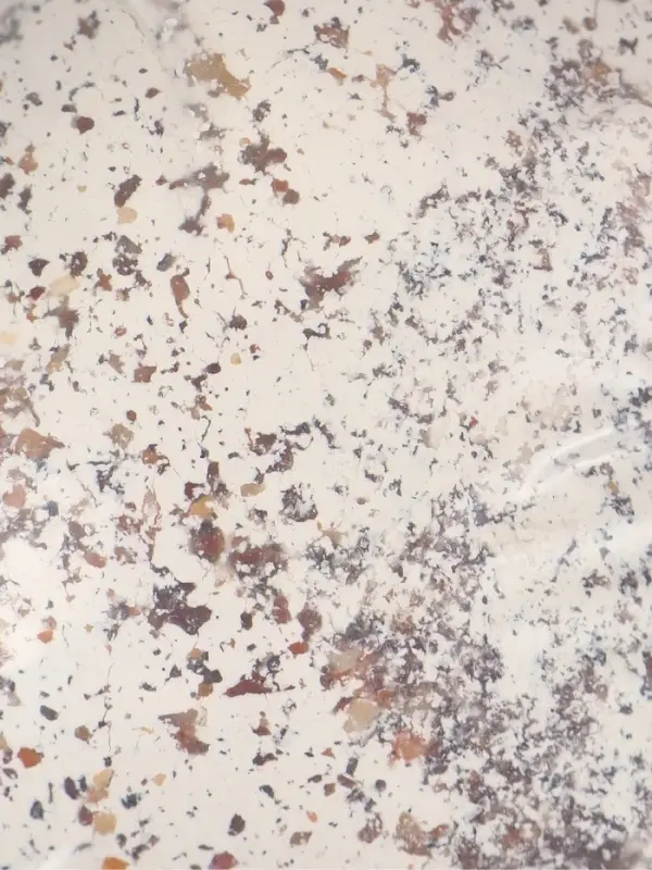 Минеральная подкормка &laquo;Лапочка&raquo; для декоративных улиток, пакет, 100 г