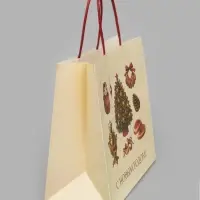Пакет подарочный &laquo;Подарок на Новый год&raquo;, 22&times;22&times;11 см, крафт