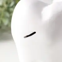 Копилка для денег &laquo;Зуб&raquo;, гипс, белый, 13&times;14&times;19 см