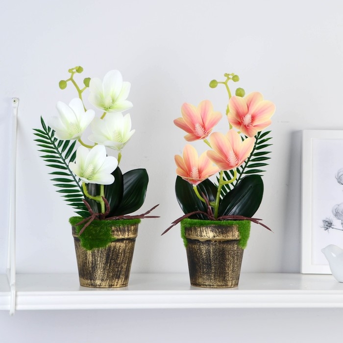 Композиция в горшке  Композиция в горшке "Орхидея экзотическая" 9х27 см, микс