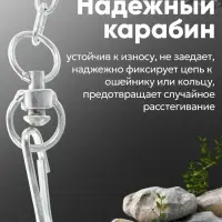 Цепь для привязи собак, 3 м, калибр 3&times;16 мм, белая