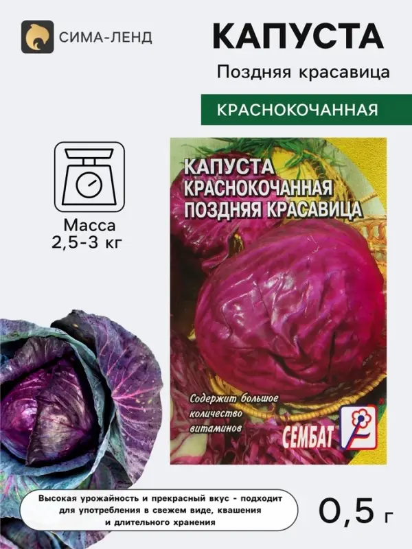 Семена Капуста краснокочанная &laquo;Поздняя красавица&raquo;, 0.5 г, &laquo;Сембат&raquo;