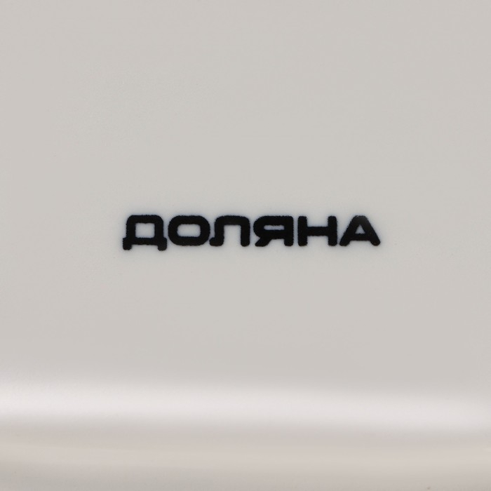 Форма для запекания из жаропрочной керамики Доляна «Долли», 900 мл, 27,5×15,5×5,3 см (с ручками), 20,5×15,5×5 см (без ручек), цвет белый Форма для запекания из жаропрочной керамики Доляна «Долли», 900 мл, 27,5×15,5×5,3 см (с ручками), 20,5×15,5×5 см (без ручек), цвет белый