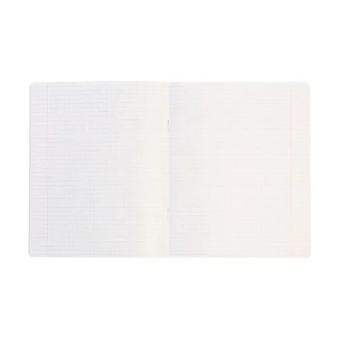 Тетрадь 12 листов в клетку Calligrata "Однотонная Новая Школьная. Эконом", обложка мелованная бумага, ВД-лак, блок №2 (серые листы), МИКС