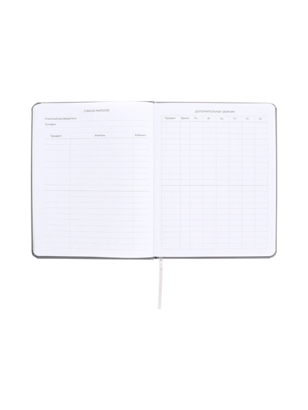 Дневник школьный 1-11 класс, deVENTE &laquo;Я ОК&raquo;, искусственная кожа, шелкография