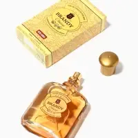 Туалетная вода мужская Brandy Classic, 100 мл
