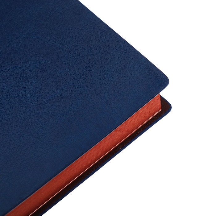 Органайзер на кольцах, А5, 116л, клетка, обл.кожзам, коричневый срез, Синий Органайзер на кольцах, А5, 116л, клетка, обл.кожзам, коричневый срез, Синий