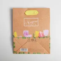 Пакет подарочный вертикальный крафтовый, упаковка, «Цветочная вереница», S 12 х 15 х 5.5 см Пакет подарочный вертикальный крафтовый, упаковка, «Цветочная вереница», S 12 х 15 х 5.5 см