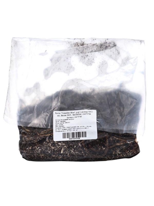 Хоста "Canadian Blue", р-р I, размер SM,1 шт, Весна 2025, ЭКОНОМ,