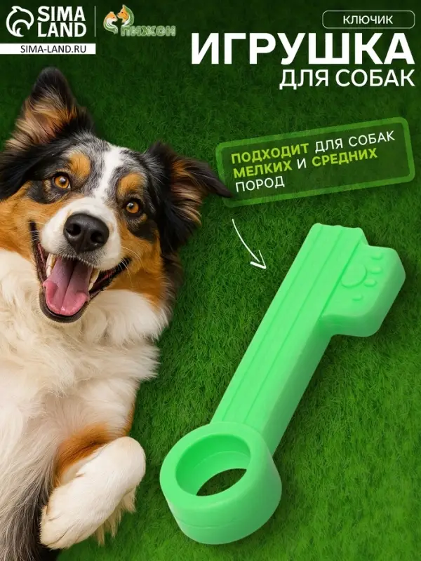 Жевательная игрушка для собак &laquo;Ключик&raquo;, 10 см, TPR, зелёная