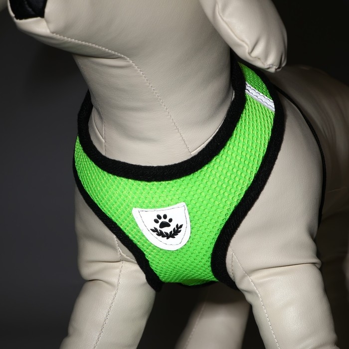 Комплект амуниции с мягкой шлейкой и светоотражающей нашивкой, XL, ОШ 40 см, ОГ 46-60 см, зелёный, 7 Комплект амуниции с мягкой шлейкой и светоотражающей нашивкой, XL, ОШ 40 см, ОГ 46-60 см, зелёный, 7