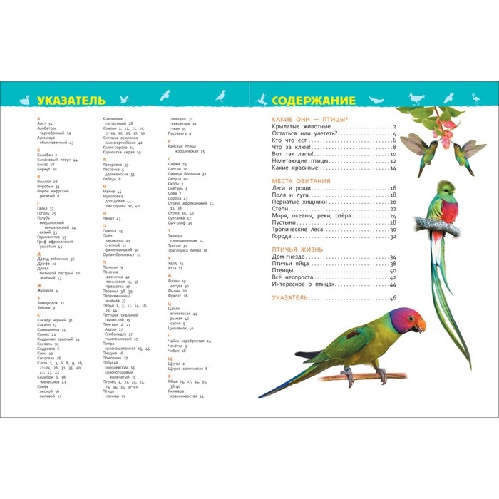 Энциклопедия для детского сада «Птицы», Гальцева С. Н. Энциклопедия для детского сада «Птицы», Гальцева С. Н.