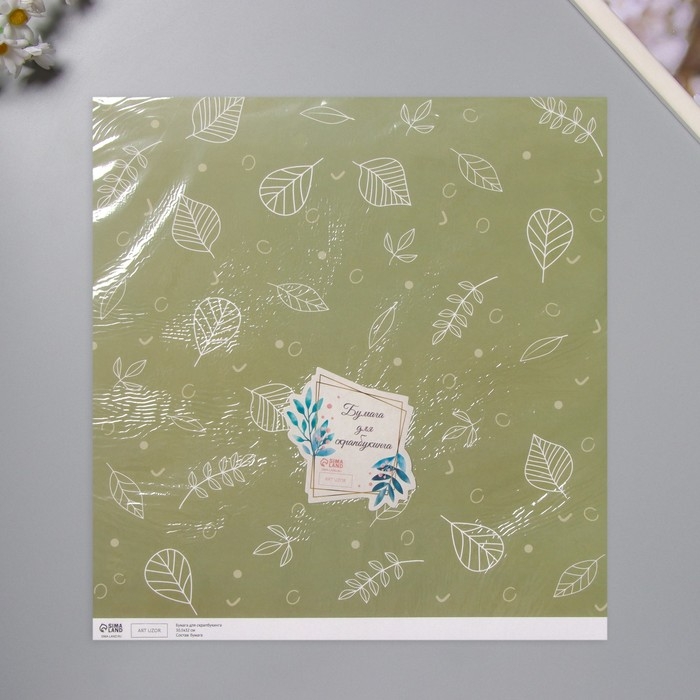 Бумага для скрапбукинга Бумага для скрапбукинга "Зелёные листочки" плотность 180 гр набор 5 шт 30,5х32 см