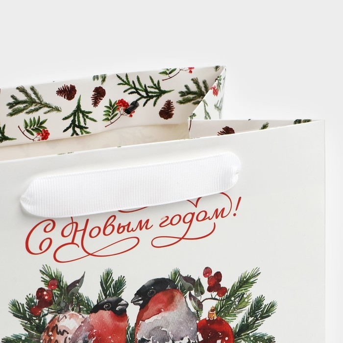 Пакет подарочный новогодний с широким дном «Снегири», 20 х 14 х 13.2 см, Новый год Пакет подарочный новогодний с широким дном «Снегири», 20 х 14 х 13.2 см, Новый год