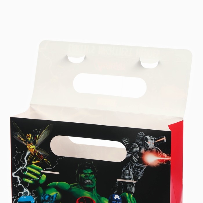 Пакет-коробка  Пакет-коробка "Герои", Мстители, 24х20х7