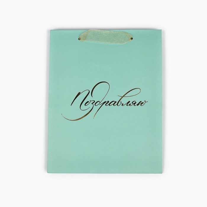 Пакет ламинированный вертикальный «Поздравляю», MS 18 х 23 х 10 см Пакет ламинированный вертикальный «Поздравляю», MS 18 х 23 х 10 см