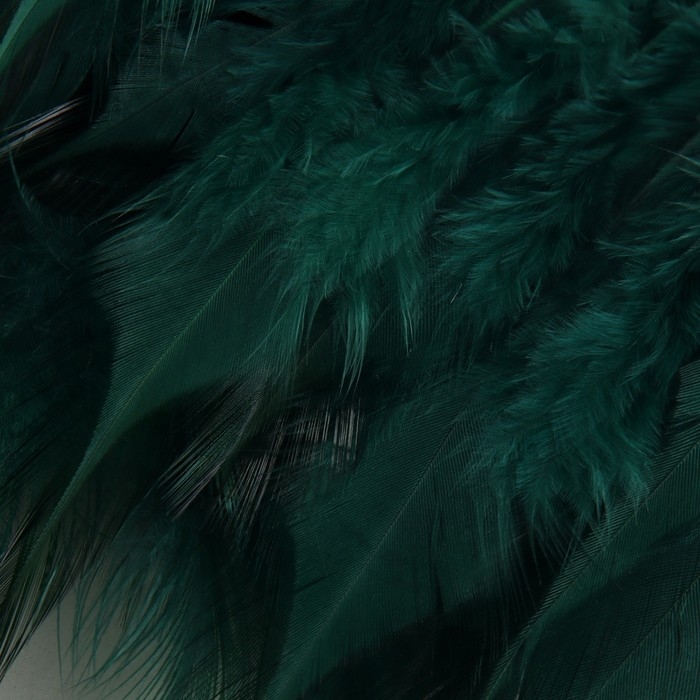 Тесьма с перьями петуха, 10-15 см, 5 ± 0,5 м, цвет изумрудный Тесьма с перьями петуха, 10-15 см, 5 ± 0,5 м, цвет изумрудный