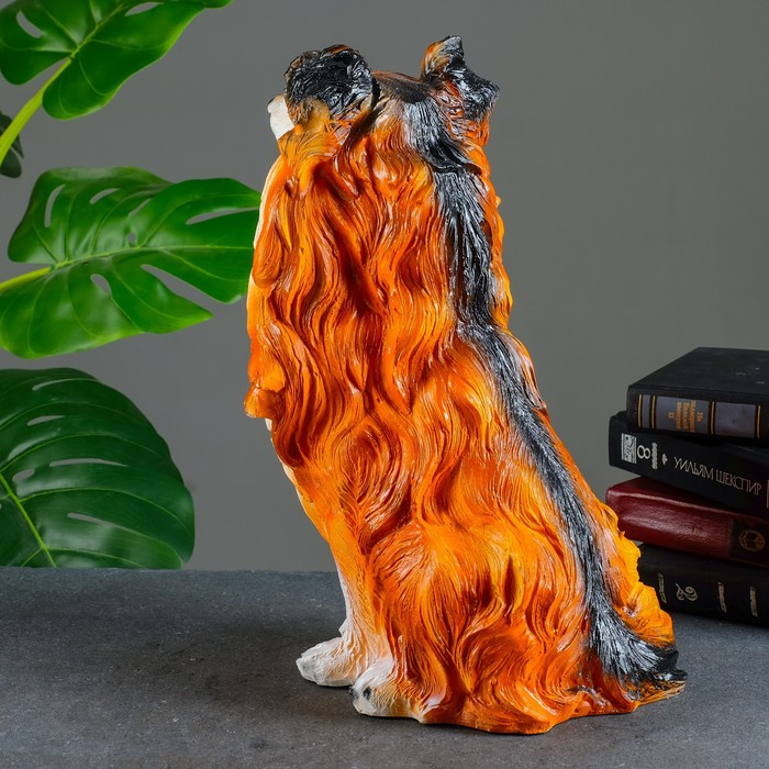 Копилка  Копилка "Колли" 38х28х20см