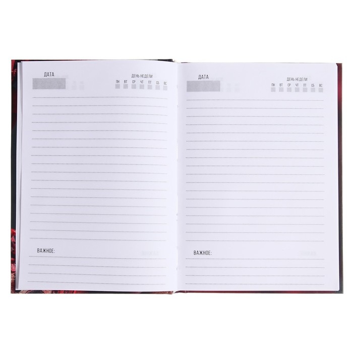 Ежедневник недатированный на сшивке А5 128 листов, картон 7БЦ, матовая ламинация, выборочный лак Ежедневник недатированный на сшивке А5 128 листов, картон 7БЦ, матовая ламинация, выборочный лак "Контрастная мода"