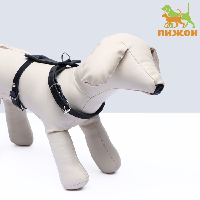 Шлейка кожаная, 1,2 см, для кошек и мелких пород собак, ОШ 26-34, ОГ 36-44, черная Шлейка кожаная, 1,2 см, для кошек и мелких пород собак, ОШ 26-34, ОГ 36-44, черная