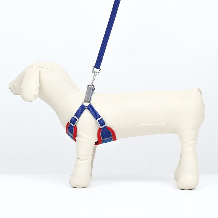 Комплект Sport+, L, поводок 120 x 1,5 см, ОШ 49-56 см, ОГ 56-68 см, вес животного 20-28 кг, синий 9 Комплект Sport+, L, поводок 120 x 1,5 см, ОШ 49-56 см, ОГ 56-68 см, вес животного 20-28 кг, синий 9