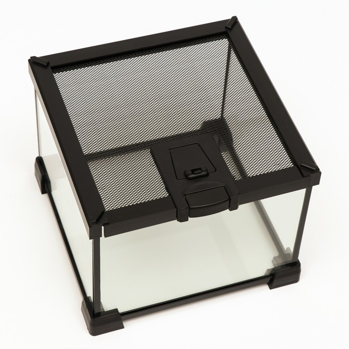 Террариум для рептилий 6,4 л, с креплением для предотвращения побега, 20 х 20 х 16 см Террариум для рептилий 6,4 л, с креплением для предотвращения побега, 20 х 20 х 16 см