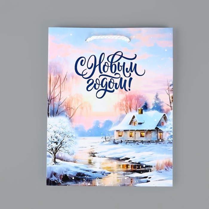 Пакет подарочный новогодний ламинированный «Зимняя деревня», MS 18 х 23 х 8 см, Новый год Пакет подарочный новогодний ламинированный «Зимняя деревня», MS 18 х 23 х 8 см, Новый год