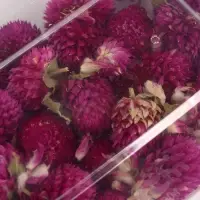 Свеча своими руками. Создание цветных свечей с цветочным декором &laquo;Летнее настроение&raquo;, набор для творчества