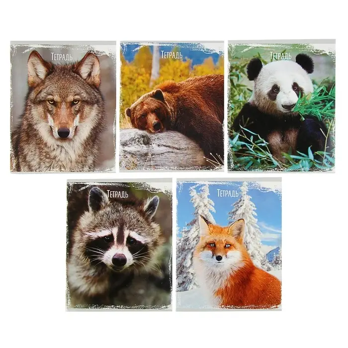 Тетрадь 48 листов в клетку, Calligrata &laquo;Дикие животные&raquo;, МИКС