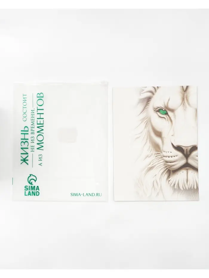 Пакет подарочный «Новогодний подарок», с носком для подарков, 31 × 40 × 11 см Пакет подарочный «Новогодний подарок», с носком для подарков, 31 × 40 × 11 см