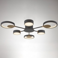 Люстра с ПДУ 2301/6GR LED 120Вт 3000-6000К серый 75х75х8 см BayerLux