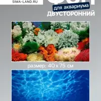 Фон для аквариума двухсторонний, 40&times;75 см